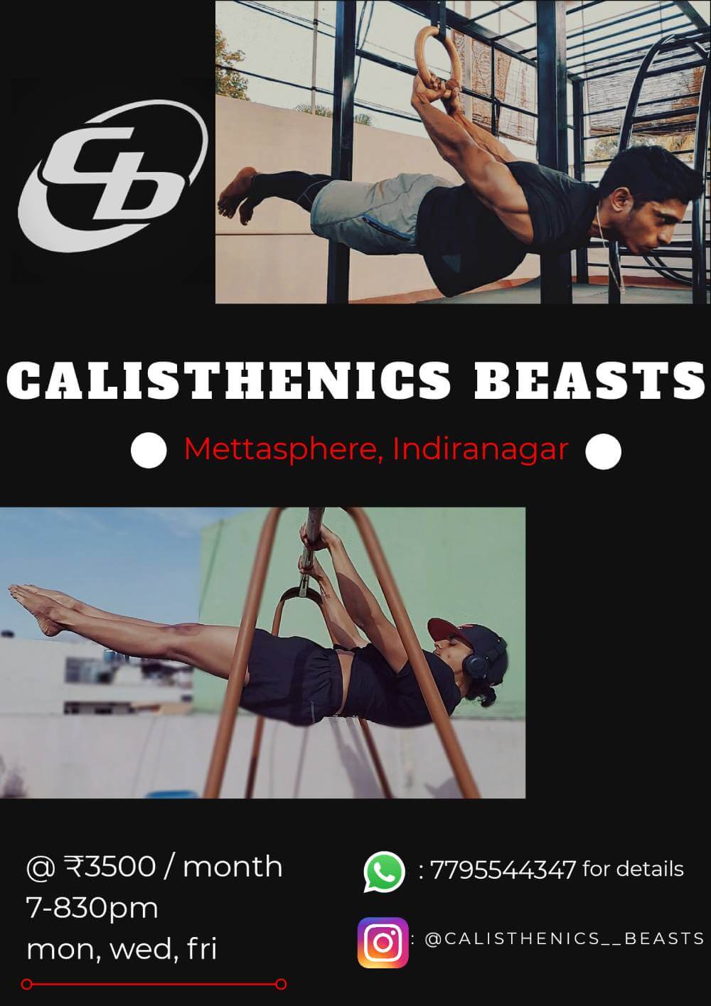 Calisthenics Beasts(monthly)